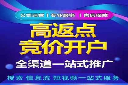 百度竞价广告的成功之路：企业运营案例集